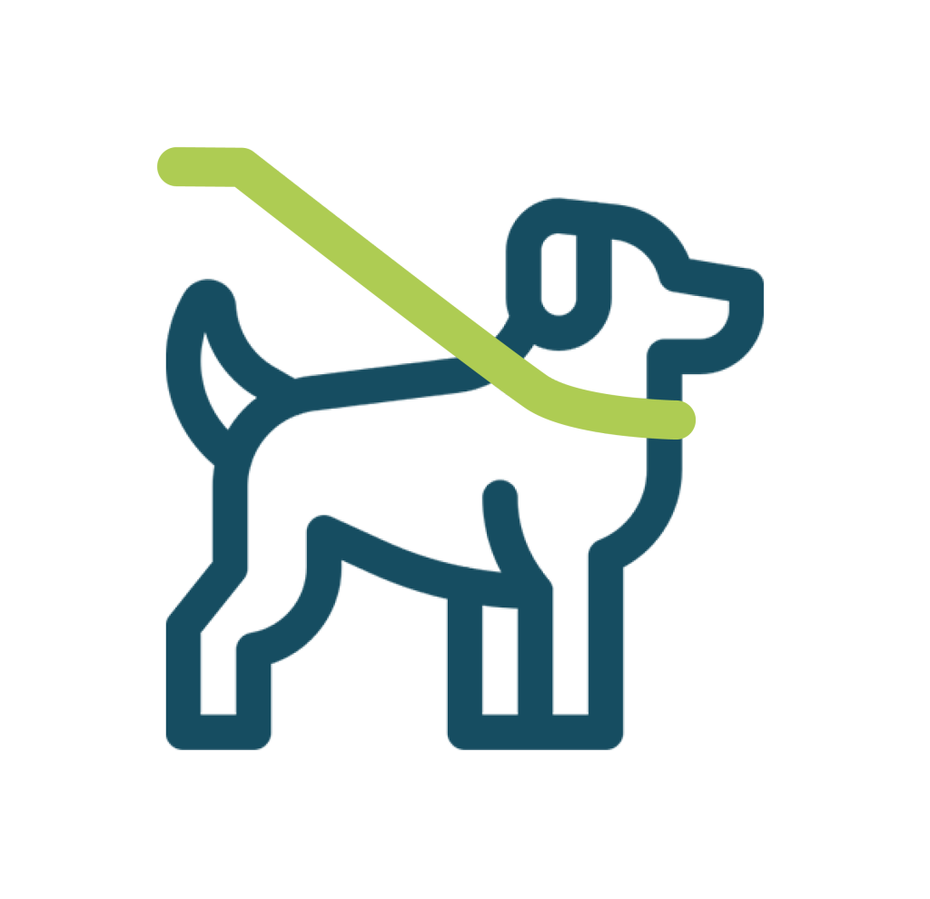 dog-walking.png